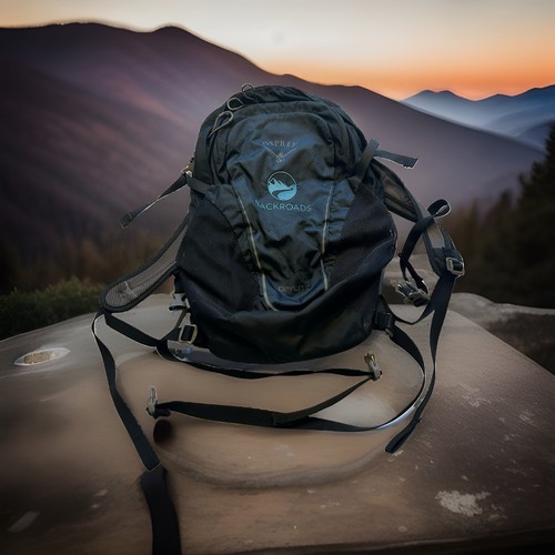 Osprey 13l daypack backpack - osprey,